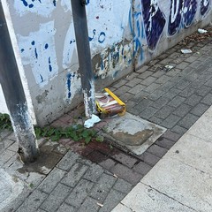 Degrado ed incuria in piazzetta via Sofia e passaggio pedonale di via Bisceglie