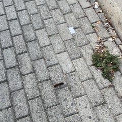 Degrado ed incuria in piazzetta via Sofia e passaggio pedonale di via Bisceglie