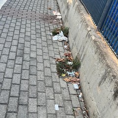 Degrado ed incuria in piazzetta via Sofia e passaggio pedonale di via Bisceglie