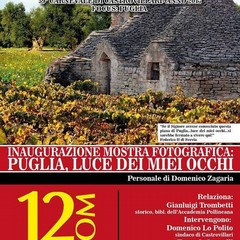 Domenico Zagaria Web Blogger Photography