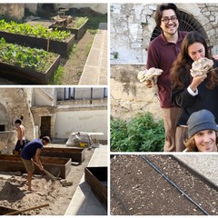 l’orto sociale nel cuore del centro storico di Andria