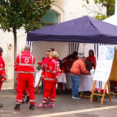 Ieri è stata la giornata La Giornata Mondiale del Diabete