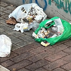 Giro di vite sull'abbandono dei rifiuti