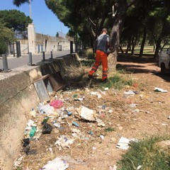 Ripulita la pineta della villa comunale: ma fino a quando sarà rispettata?