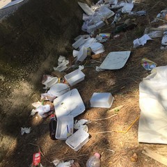 Ripulita la pineta della villa comunale: ma fino a quando sarà rispettata?