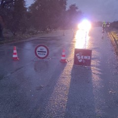incidente stradale, traffico interrotto sull'Andria Bisceglie
