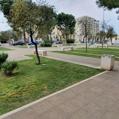 pulizia di piazza SS. Trinità