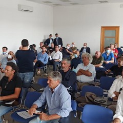 Gli olivicoltori incontrano il Ministro Teresa Bellanova