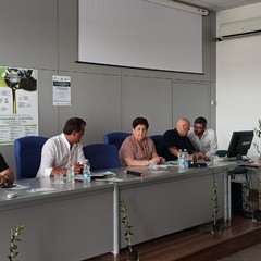 Gli olivicoltori incontrano il Ministro Teresa Bellanova