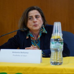 Ecomafia 2022: i numeri della criminalità ambientale in Puglia