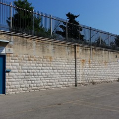 entrata tsn andria