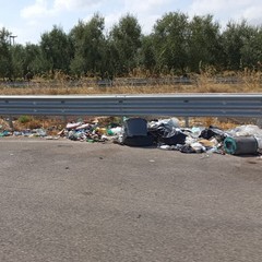 discariche di rifiuti puzzolenti sull'Andria Canosa di Puglia