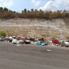 discariche di rifiuti puzzolenti sull'Andria Canosa di Puglia
