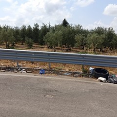 discariche di rifiuti puzzolenti sull'Andria Canosa di Puglia