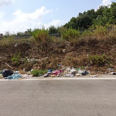 discariche di rifiuti puzzolenti sull'Andria Canosa di Puglia
