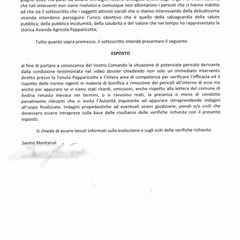 La drammatica situazione in cui versa la storica azienda agricola Papparicotta