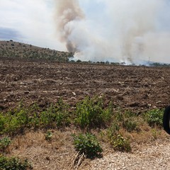Vasto incendio nella zona di Torre San Pietro, nei pressi di Montegrosso