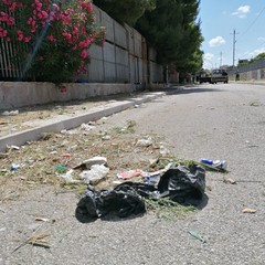 incuria e degrado in via Giotto