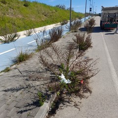 via Bisceglie-stazione di Andria Sud