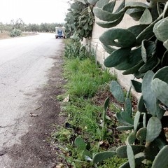 Via Stazio zona Pip