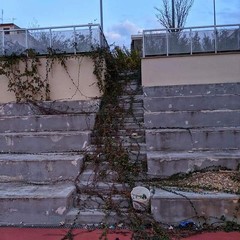 FB IMG