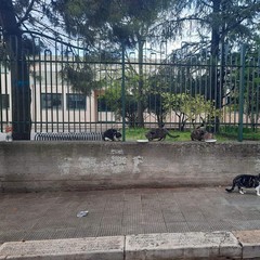 FB IMG
