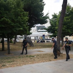 Blitz antidroga all'interno della villa comunale
