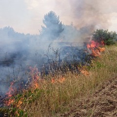 femmina morta da piedi a