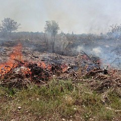 femmina morta da piedi d
