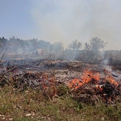 femmina morta da piedi