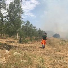femmina morta da piedi