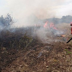 femmina morta da piedi