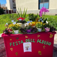 Festa alberi Cotugno JPG