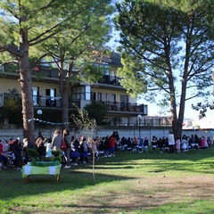 Festa alberi Cotugno JPG