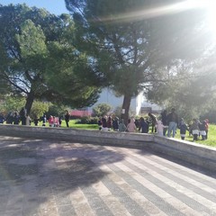 Festa alberi Cotugno JPG