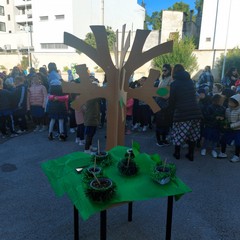 Festa alberi Don Bosco Manzoni