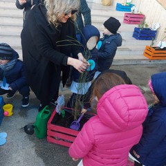 Festa alberi Don Bosco Manzoni