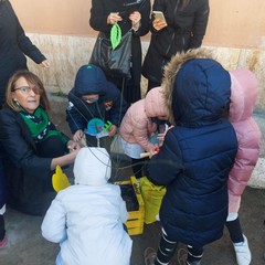 Festa alberi Don Bosco Manzoni