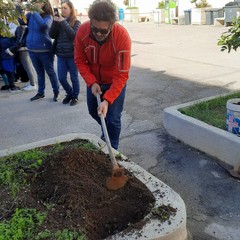 Festa alberi Don Bosco Manzoni