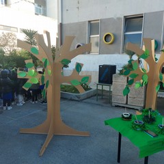 Festa alberi Don Bosco Manzoni