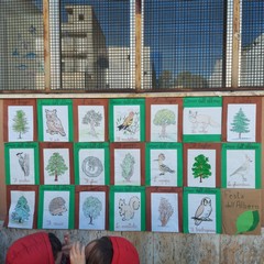 Festa alberi Don Bosco Manzoni