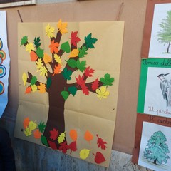 Festa alberi Don Bosco Manzoni