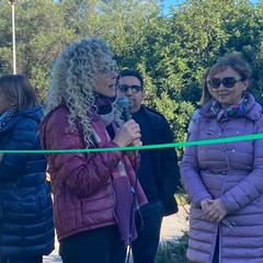 Festa albero Verdi Cafaro