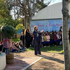 Festa albero Verdi Cafaro