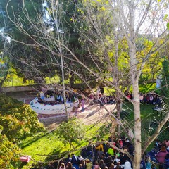 Festa albero Verdi Cafaro