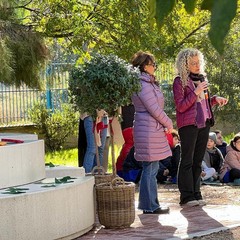 Festa albero Verdi Cafaro