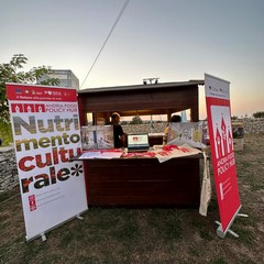 festival JPG