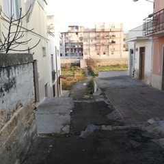 Degrado e fogna a cielo aperto, questa è Via Matteotti