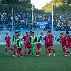 La Fidelis Andria si arrende al Martina: le immagini del match