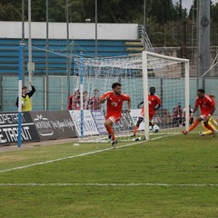 Fidelis Andria-Gravina 4-1